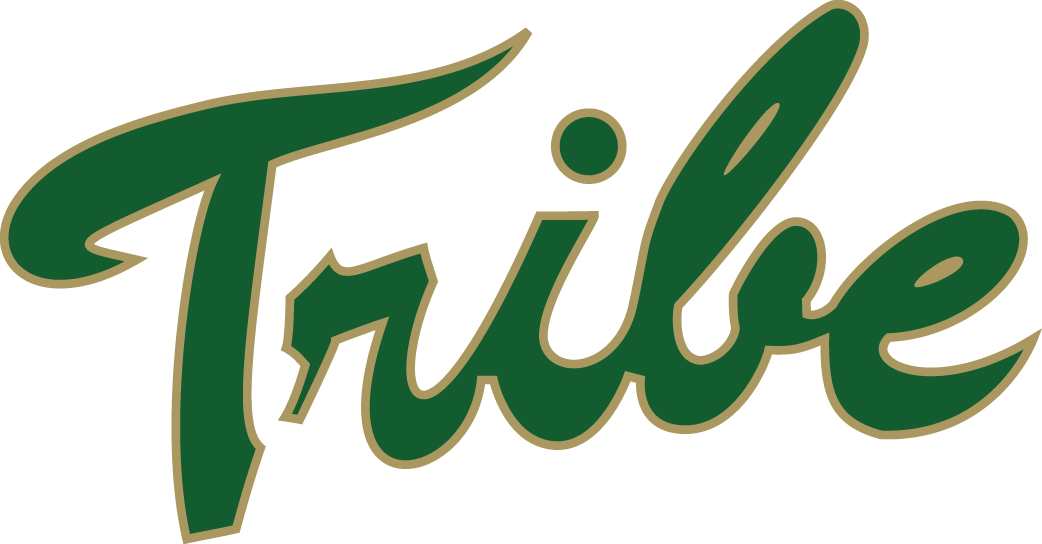 William and Mary Tribe T shirt DIY iron-ons